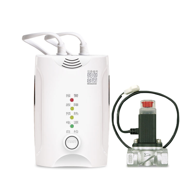 HD1000B獨(dú)立式可燃?xì)怏w探測(cè)器